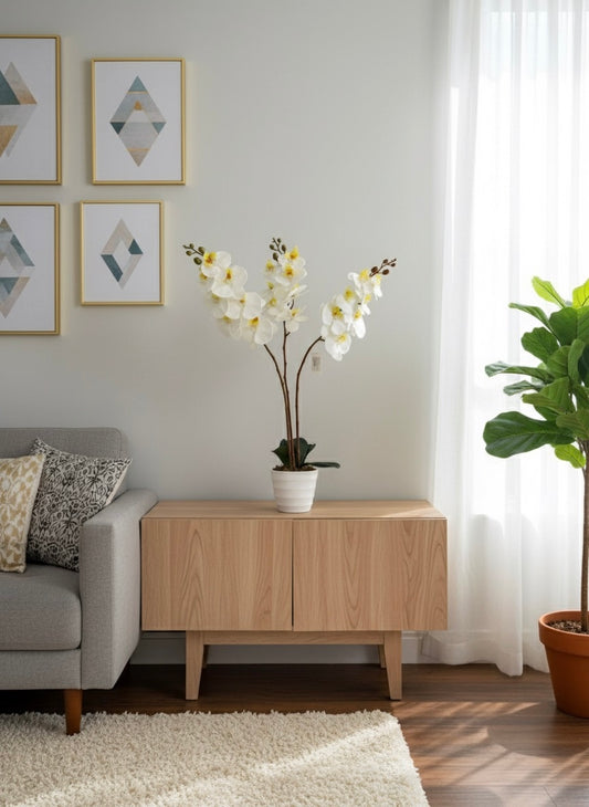 White Orchid with pot - LGC-PA-55