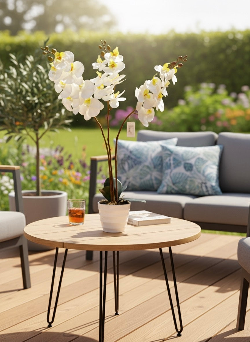 White Orchid with pot - LGC-PA-55