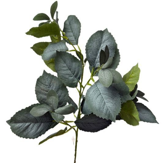 Eucalyptus Greenery Branch -  LGC/VE