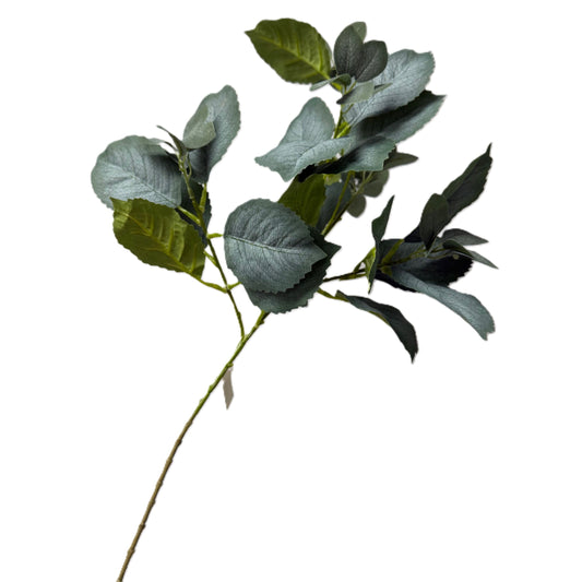 Eucalyptus Greenery Branch -  LGC/VE