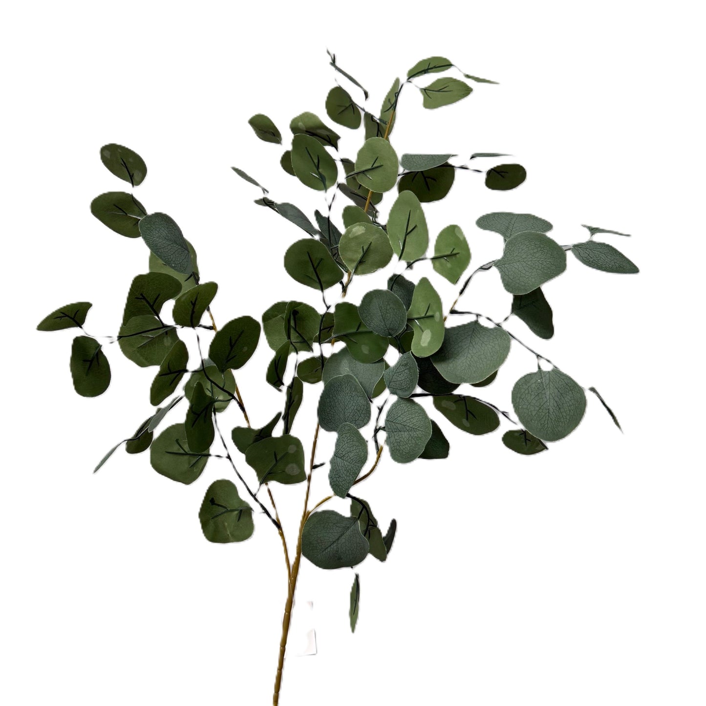 Artificial Eucalyptus Stick | LGC-VE