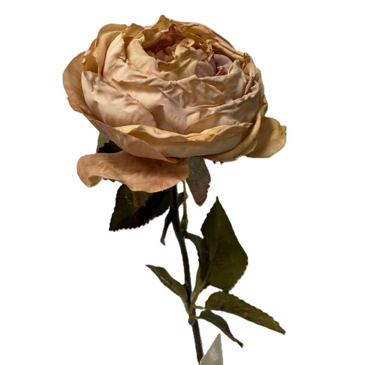 Artificial Rose Stem- Vintage Rose & Cream LGC/PA-IR