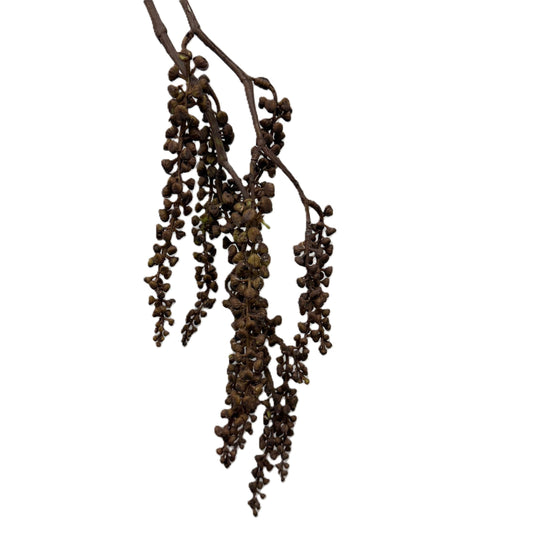 Decorative branch with hanging leaves on a white background