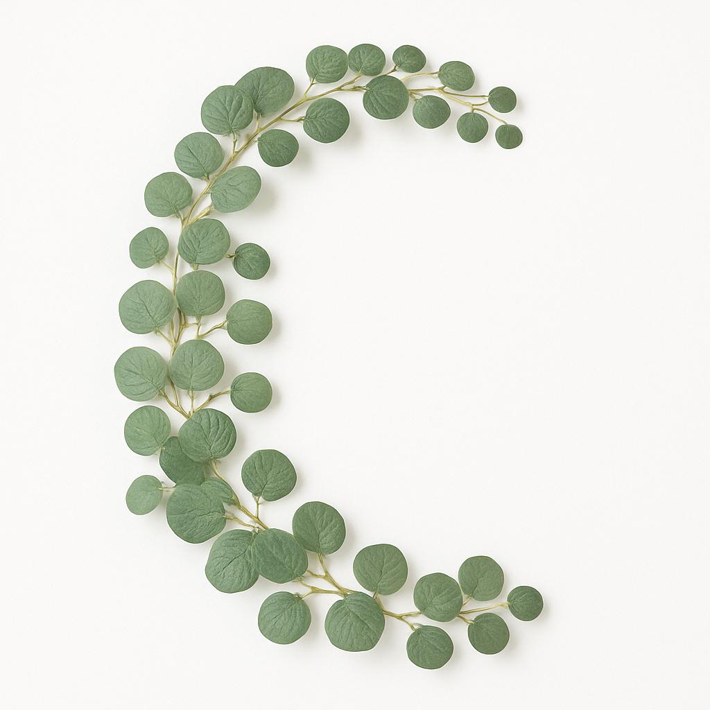 Green leafy branch on a white background