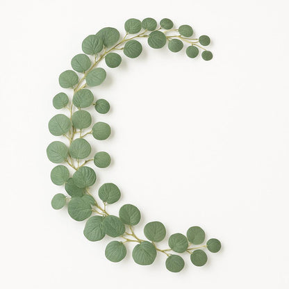 Green leafy branch on a white background