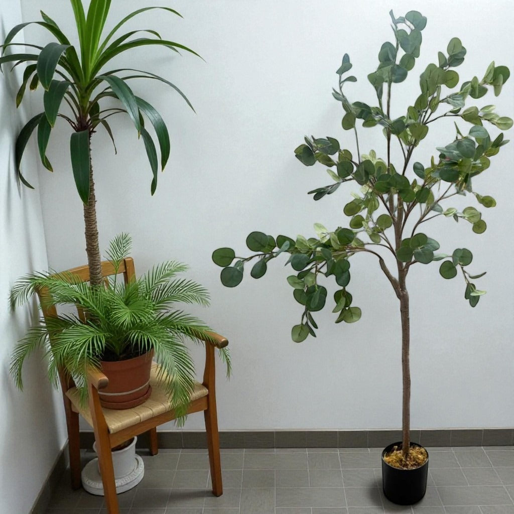 Potted plants including a palm tree and a fiddle leaf fig on a chair against a white wall.