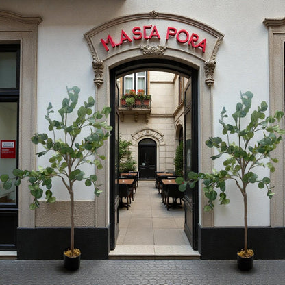 Entrance to a building with 'Masta Pora' sign above, flanked by potted trees.
