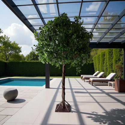 Decorative tree in a garden setting with a pool and lounge chairs.