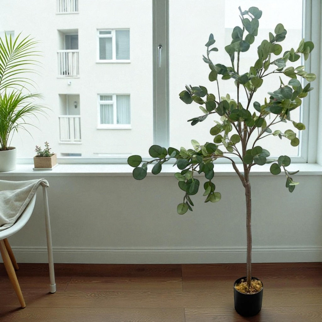 Potted plant in a room with a window and chair
