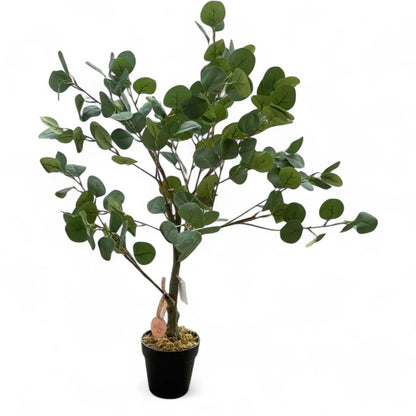 Potted artificial eucalyptus plant on a white background