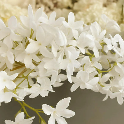 Close-up of white flowers with a blurred background