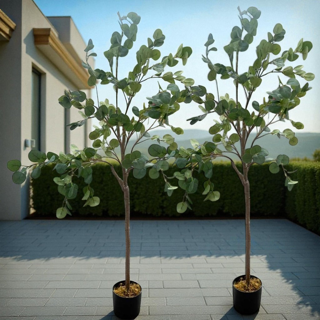 Two potted trees on a patio with a building and greenery in the background