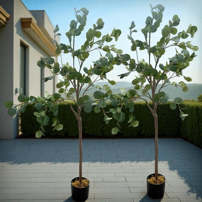 Two potted trees on a patio with a building and greenery in the background
