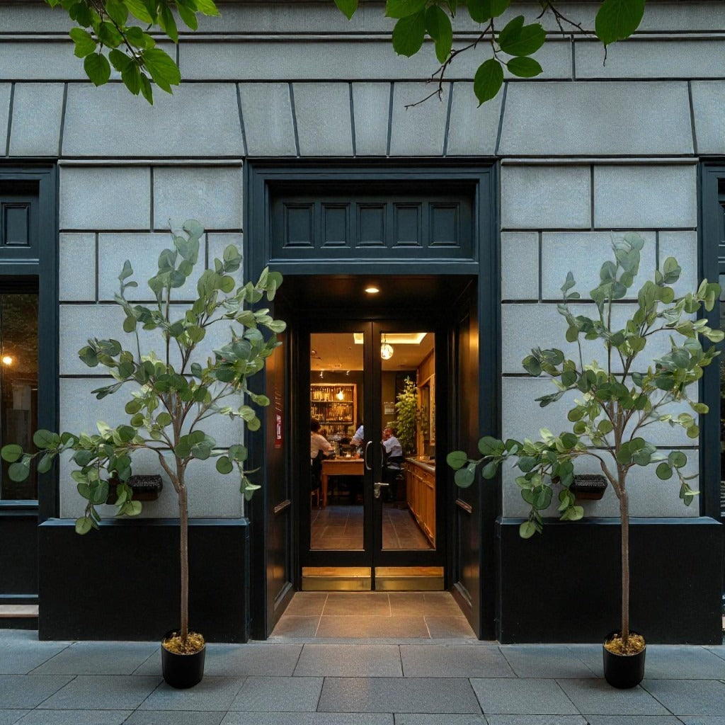 Open door of a building with interior visible, flanked by two potted trees.