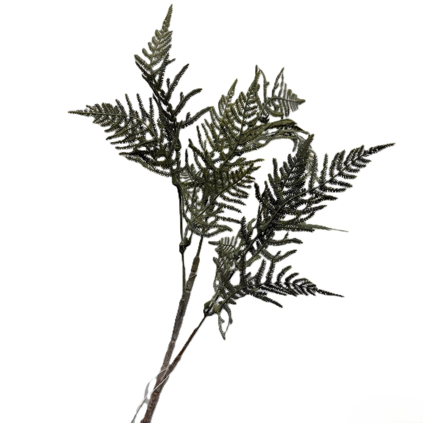 Artificial fern branch on a white background