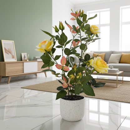 Potted plant with yellow flowers in a living room setting