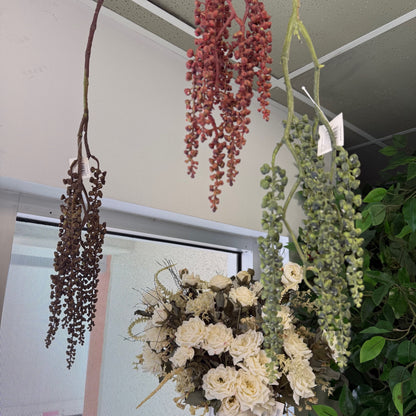 Decorative hanging plants and flowers against a neutral wall.