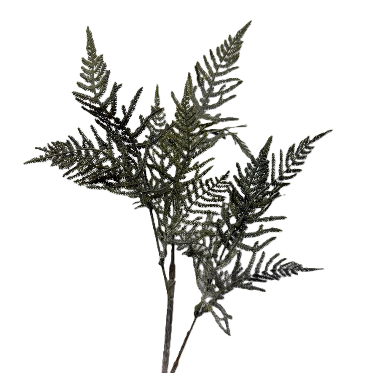 Artificial fern branch on a white background