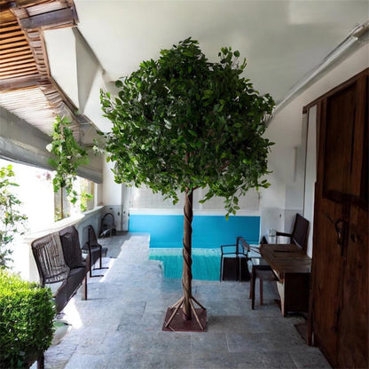 Indoor setting with a large potted tree, chairs, and a desk near a pool area.