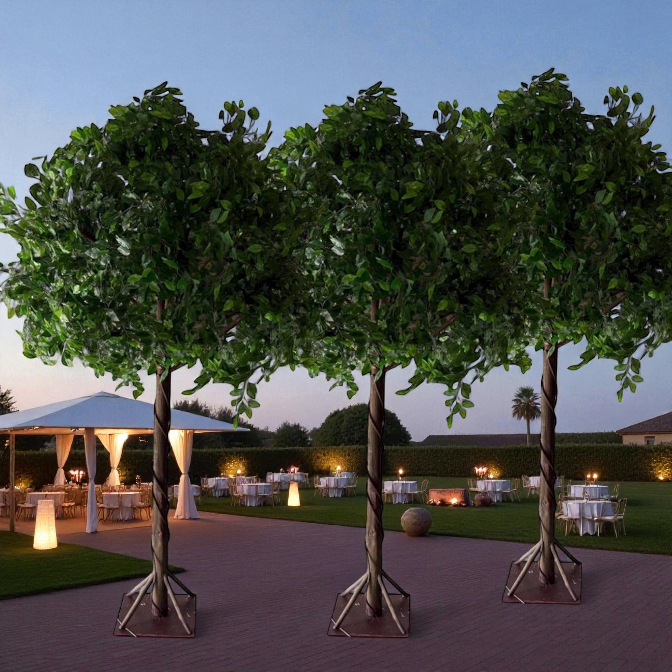 Decorative trees with a well-set outdoor event in the background