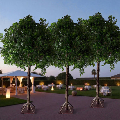 Decorative trees with a well-set outdoor event in the background