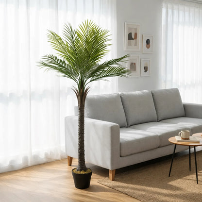 Potted palm tree in a living room with a gray sofa and small table.