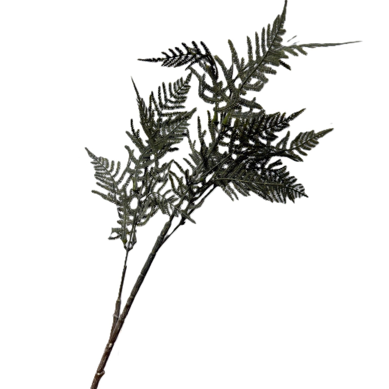 Artificial fern branch on a white background