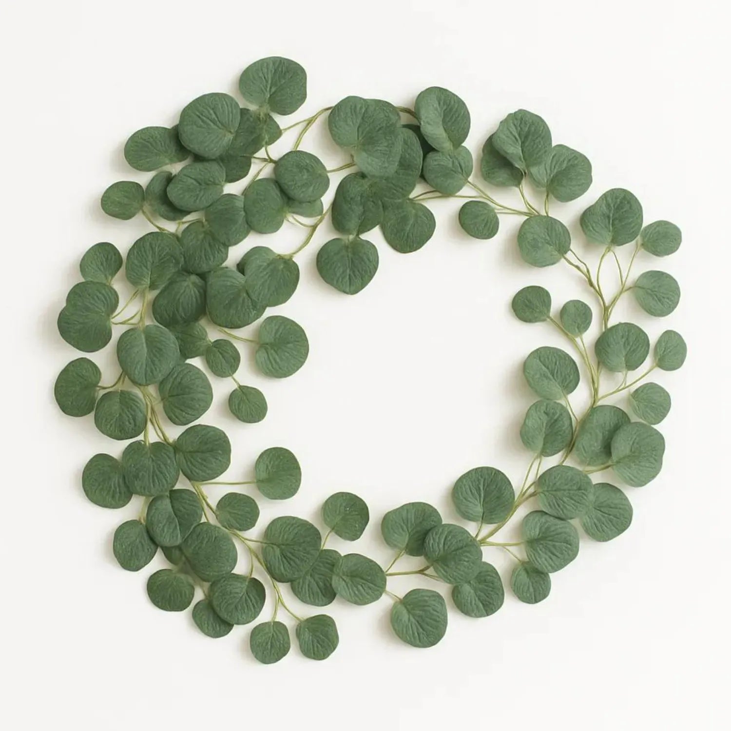 Green leafy wreath on a white background
