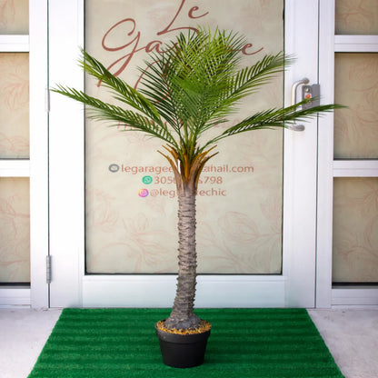 Potted palm tree in front of a glass door with contact information.