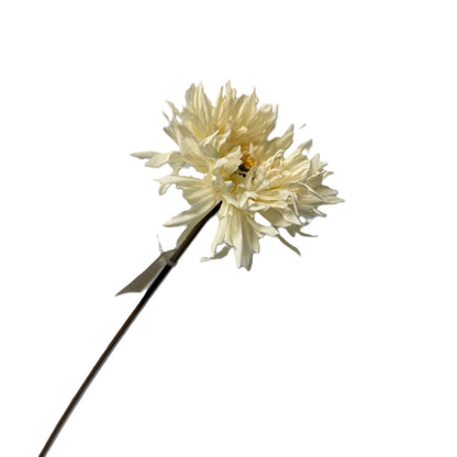 Single white artificial flower on a white background