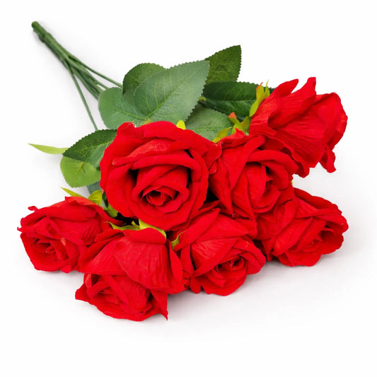 Bouquet of red roses on a white background