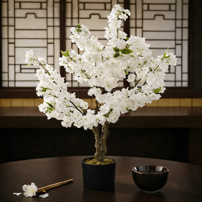Potted white flowering tree on a dark surface with a traditional Japanese sliding door in the background.