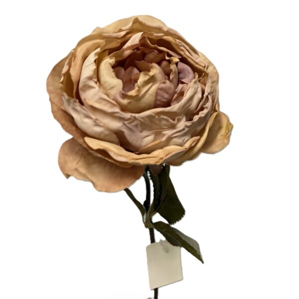 Artificial Rose Stem- Vintage Rose & Cream LGC/PA-IR